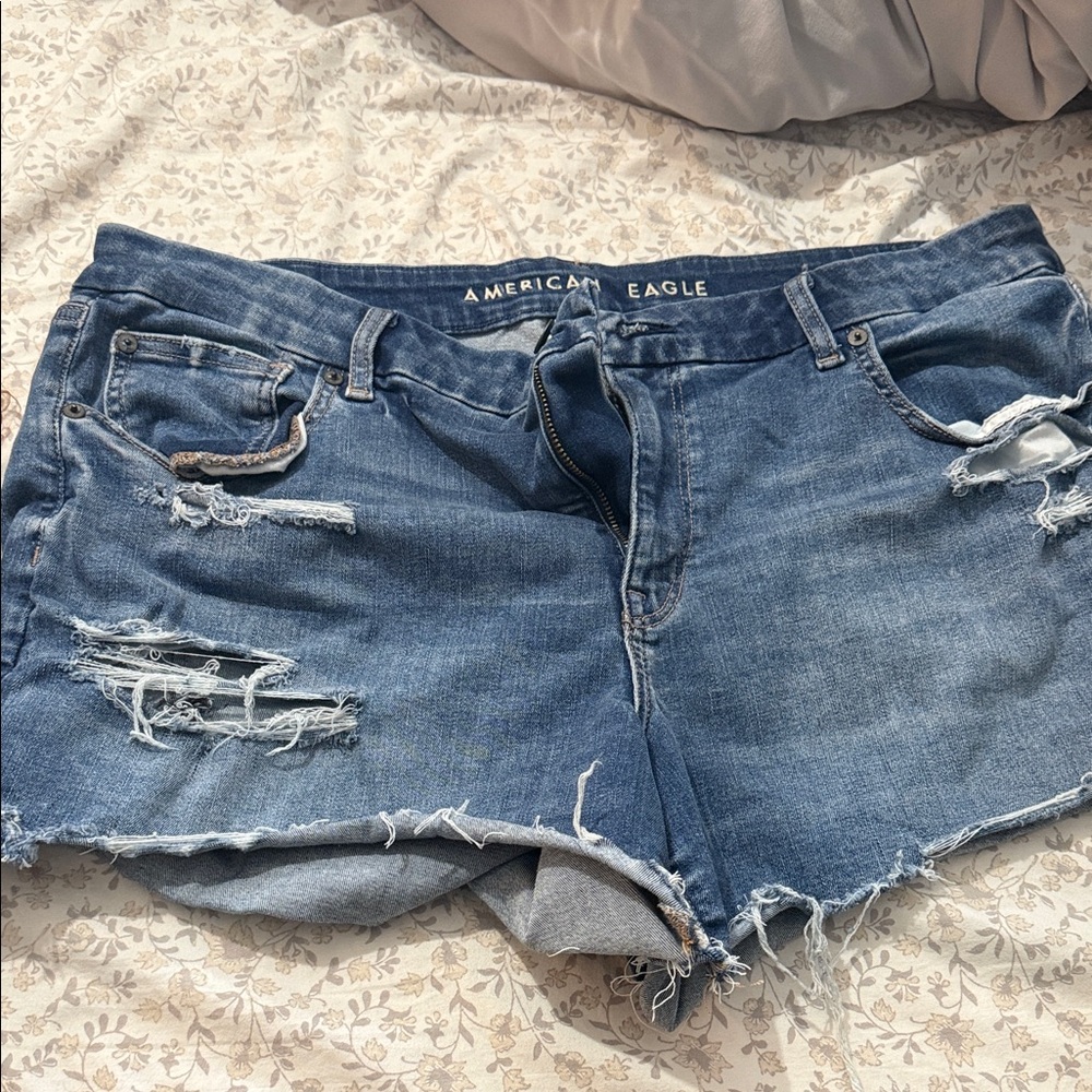 New without tags, American Eagle shorts.